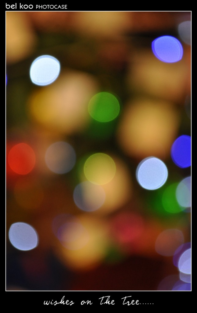 Wishes