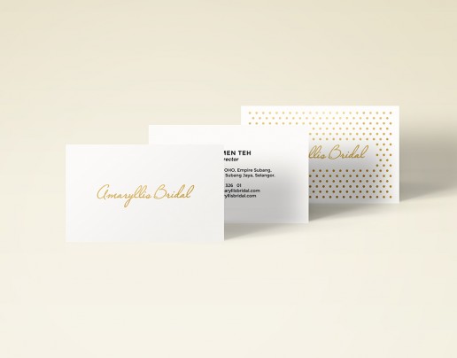 logo designer malaysia, logo design malaysia, graphic designer malaysia, graphic design malaysia, web designer malaysia, bel koo, web designer ipoh, web design ipoh