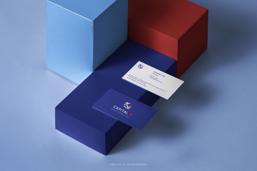 logo designer malaysia, brand identity design malaysia, logo design malaysia, bel koo design, product photography malaysia, penang, kl, ipoh, australia