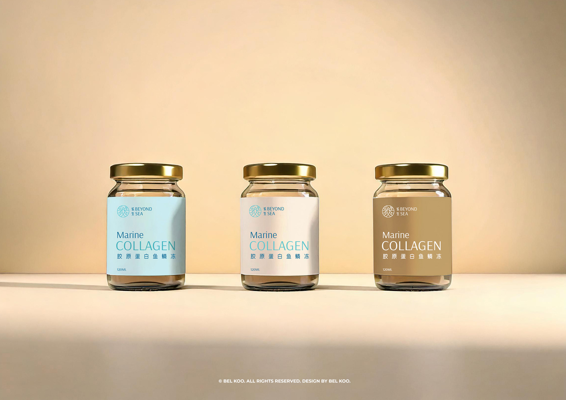 logo design malaysia, logo designer malaysia, australia, canada, UK, United State